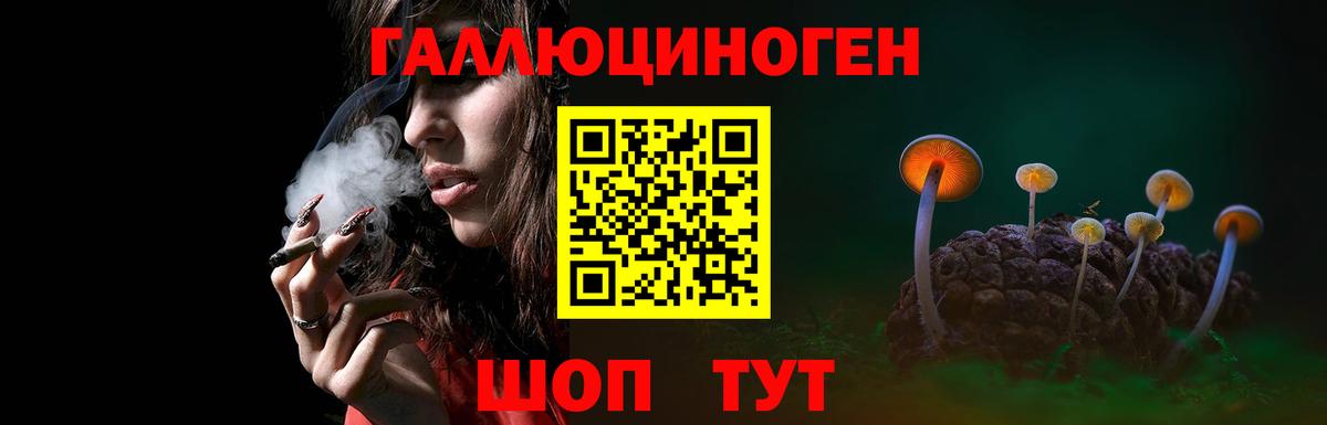 Галлюциногенные грибы GOLDEN TEACHER Междуреченск